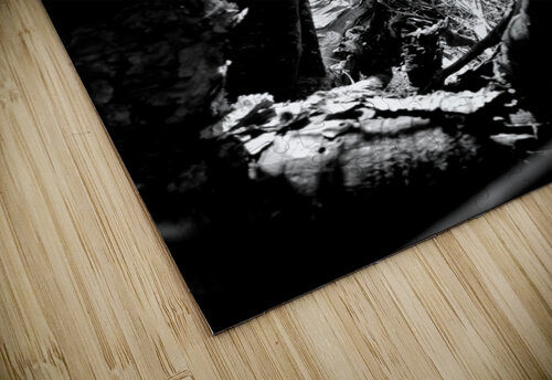 SECLUDED PARADISE Mathieu LeBlanc puzzle