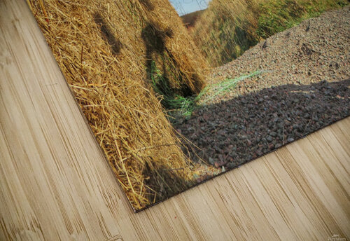 Hay Ride Mathieu LeBlanc puzzle