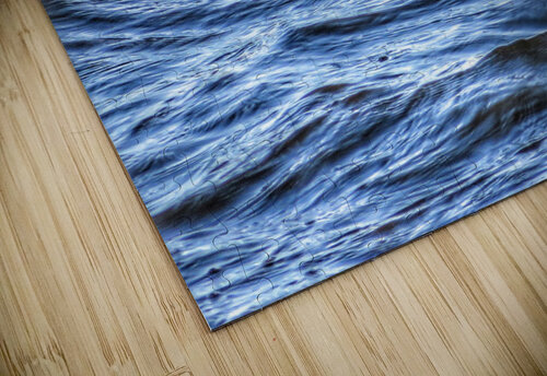 Seal Mathieu LeBlanc puzzle