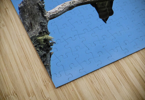 OSPREY Mathieu LeBlanc puzzle