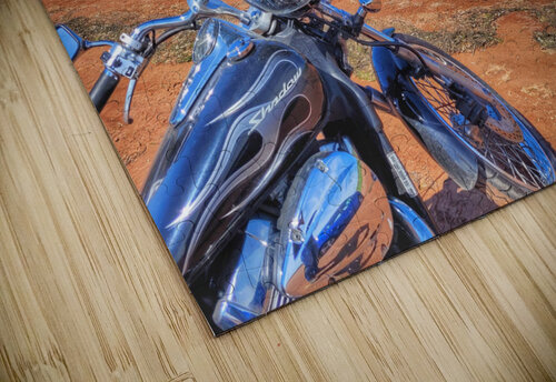 BEACHSIDE RIDE  Mathieu LeBlanc puzzle
