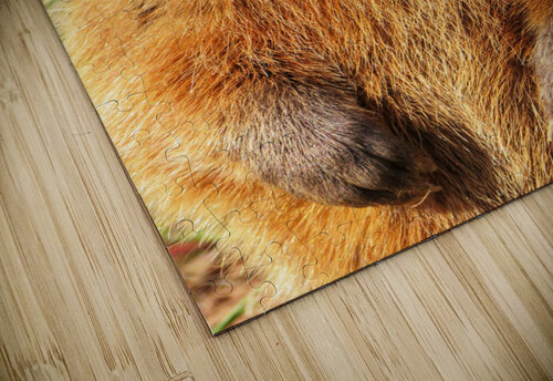 Groundhog Mathieu LeBlanc puzzle