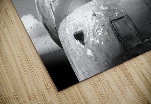 Plane Mathieu LeBlanc puzzle
