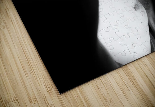 TOGETHER Mathieu LeBlanc puzzle