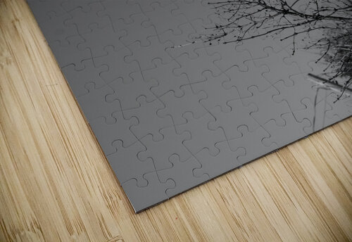 Elm Street Mathieu LeBlanc puzzle