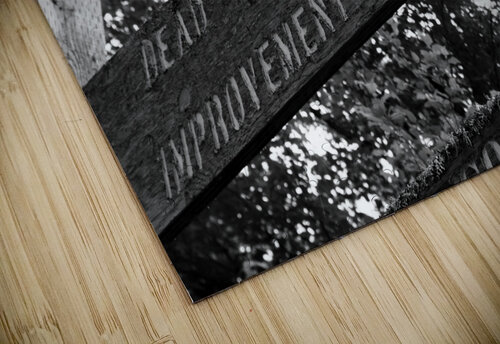 DEAD BROOK Mathieu LeBlanc puzzle