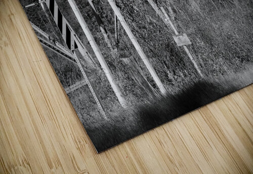 TRAIN BRIDGE Mathieu LeBlanc puzzle
