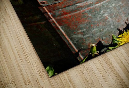 LID OPEN  Mathieu LeBlanc puzzle