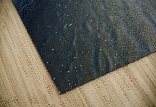 Floating Ice Mathieu LeBlanc puzzle