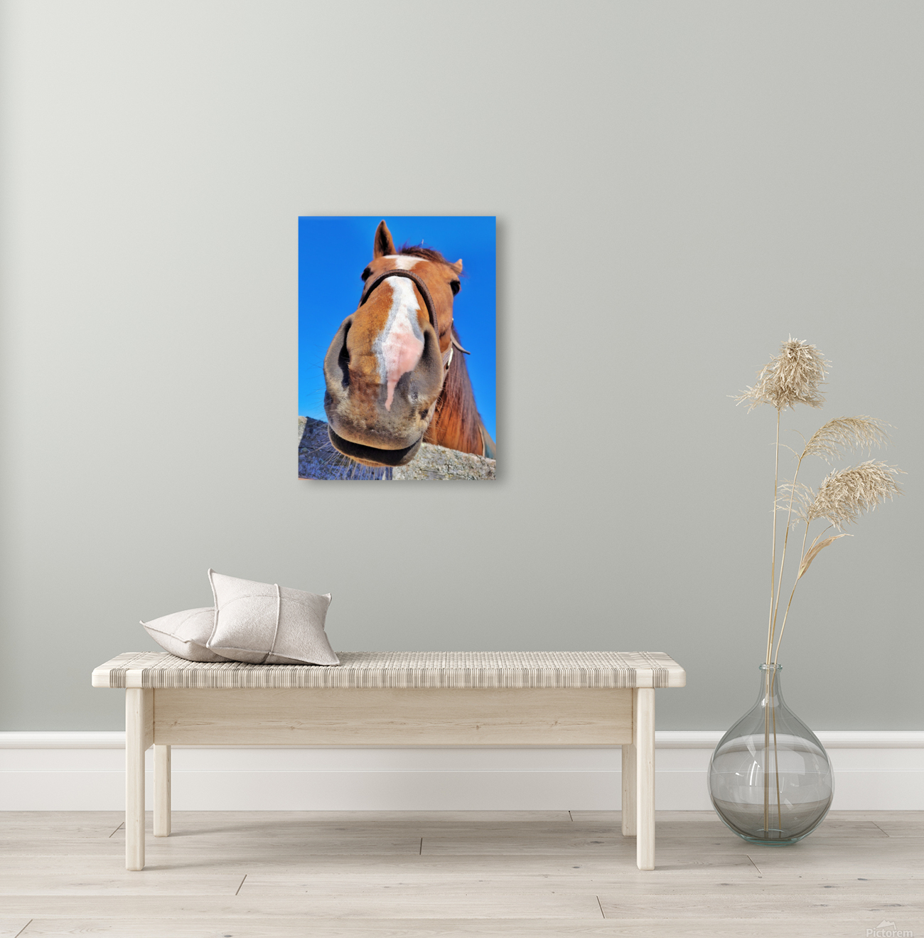 Horse Face Reproduction