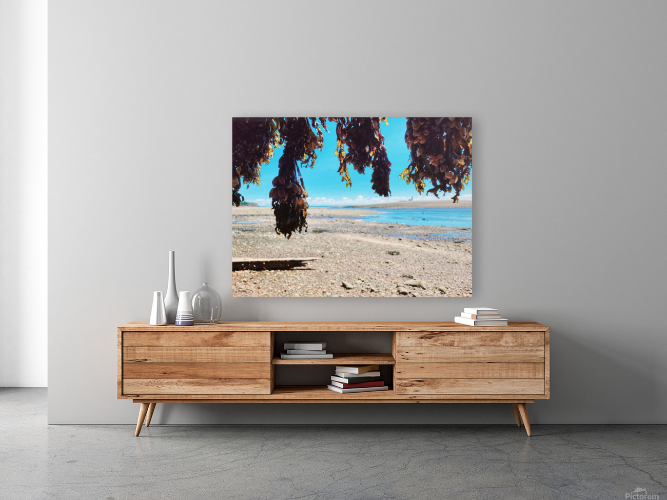 Seaweed Beach Reproduction