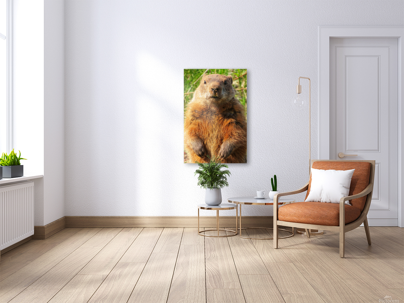 Groundhog Reproduction
