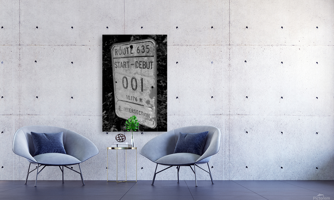 001 II Reproduction