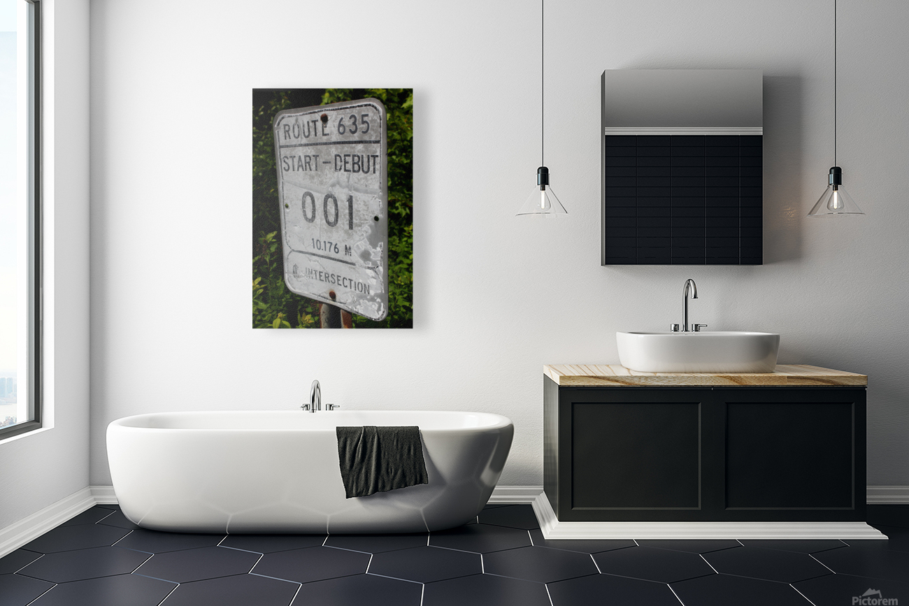 001 Reproduction