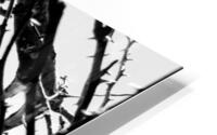 SECLUDED PARADISE HD Metal print