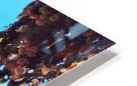 Seaweed Beach HD Metal print