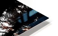 Woods HD Metal print