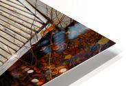Resting HD Metal print