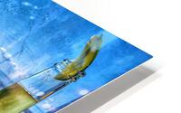 Summer Afternoon HD Metal print