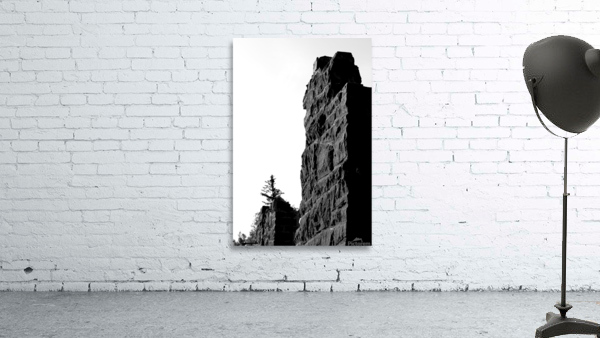 Old wall Wall Preview