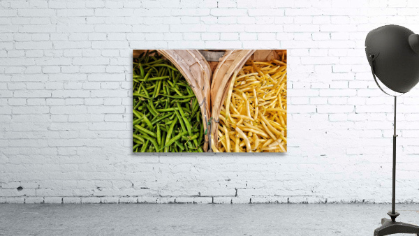Yellow or Green  Wall Preview