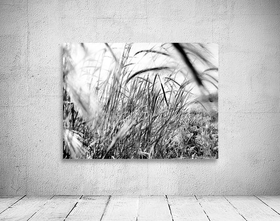 TALL GRASS Wall Preview