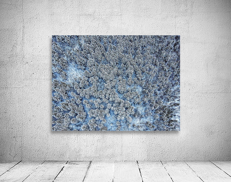 Snowy forest Wall Preview
