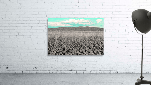 Corn field Wall Preview