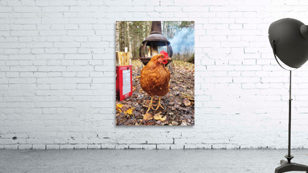 Hot Chick Wall Preview