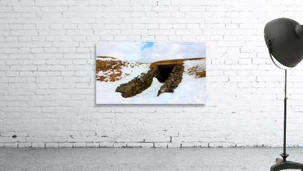 Winter beauty Wall Preview