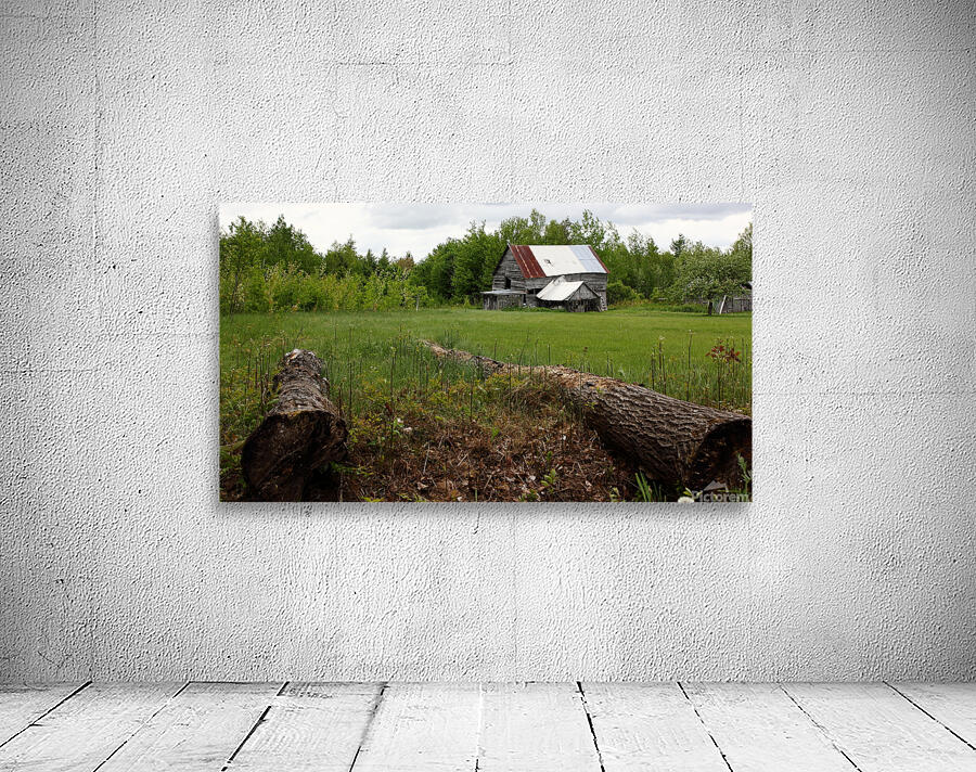 COUNTRY LIFE Wall Preview