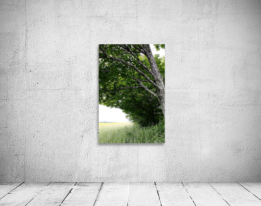 Green Summer Aperçu sur mur
