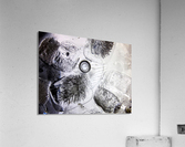 151    On the Rocks Acrylic Print