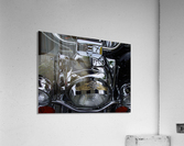 107   Hogging Attention Acrylic Print