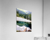 263     Natures Canvas Acrylic Print