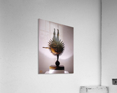 197    Sun - Moon Balancing Act Acrylic Print
