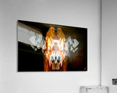 259    Spirits Take Living Forms Acrylic Print