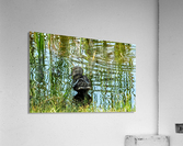 222 Mottled Acrylic Print
