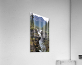 209    Unstoppable Acrylic Print