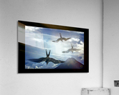 257    Flying High Acrylic Print