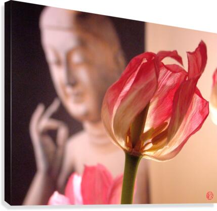 251    In Harmony Canvas Print