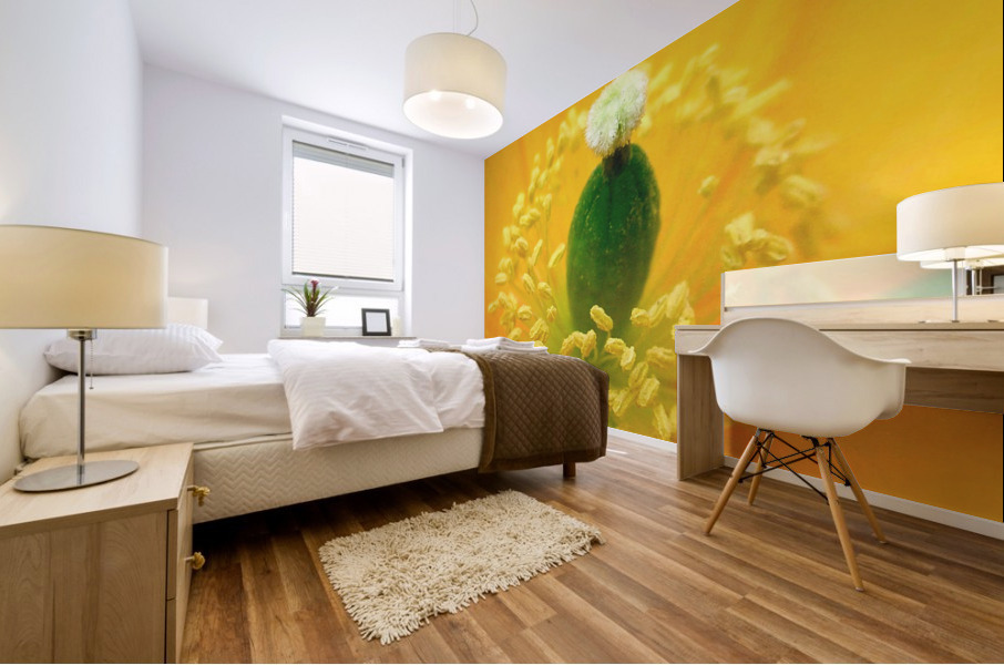 169    Elegance Mural print