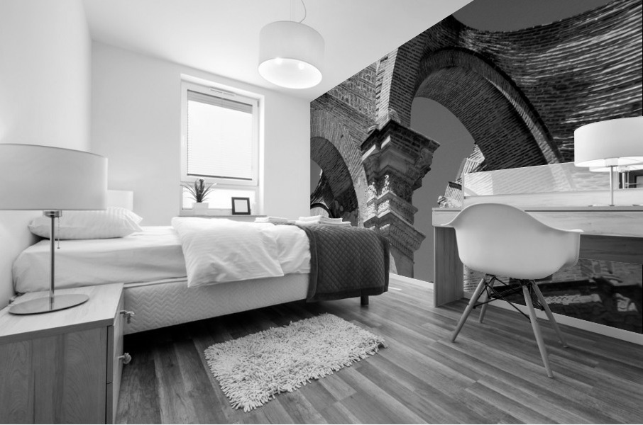 101    Arches Mural print
