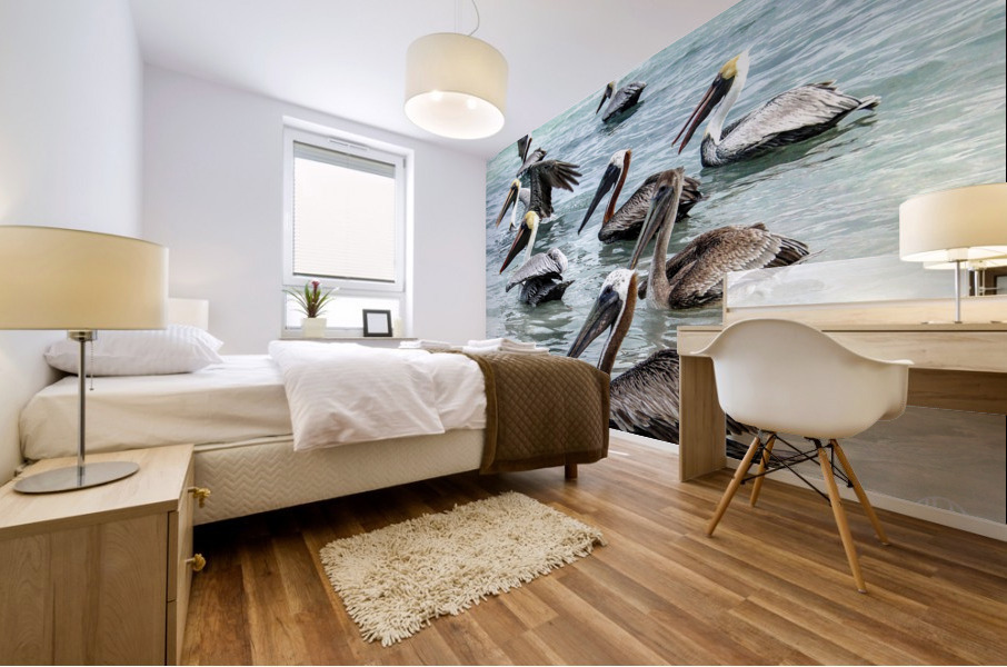 179   Pelicans Mural print
