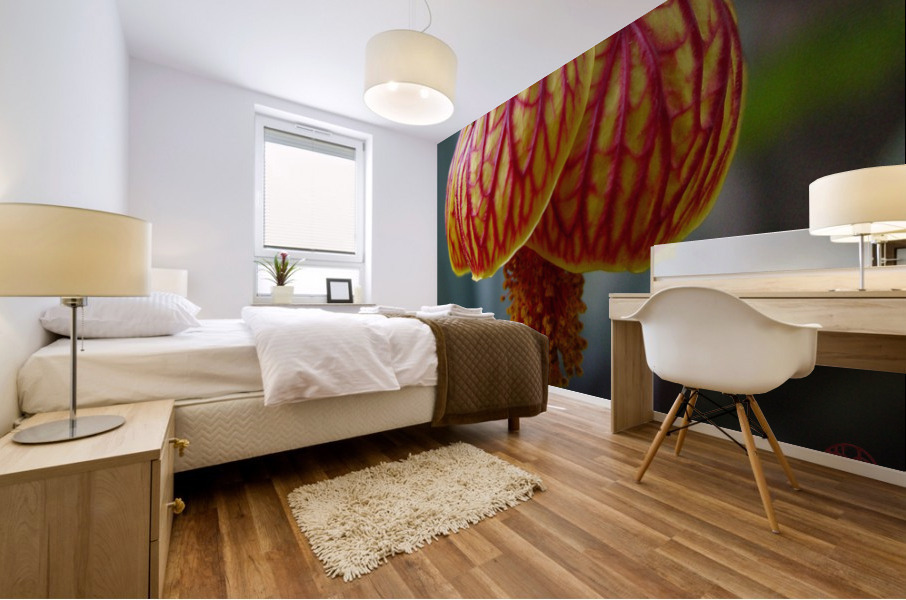 163   Sensuous Mural print