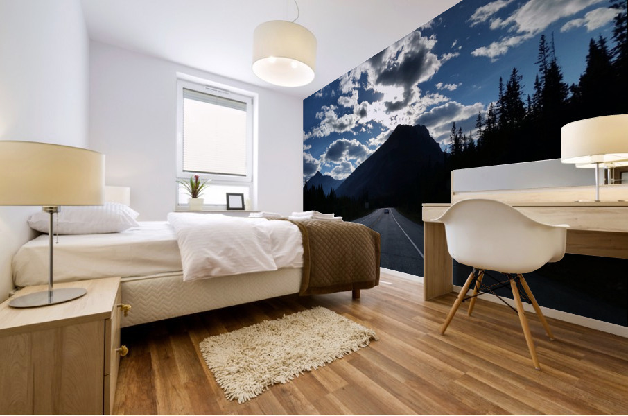 113   Open Road Mural print