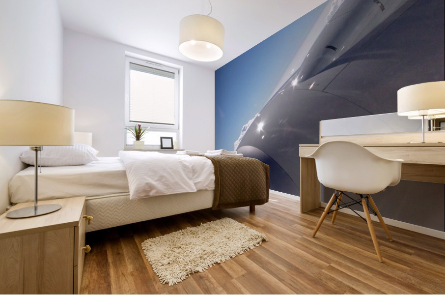 119   In Plane View Mural print