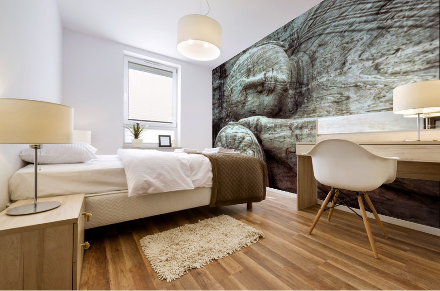 253    Reclining Buddha Mural print