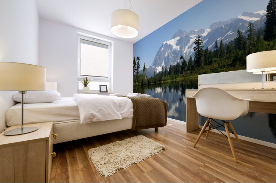 215    Mount Baker Mural print