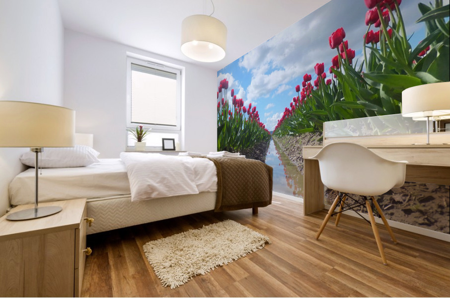156    Tulip Field Mural print